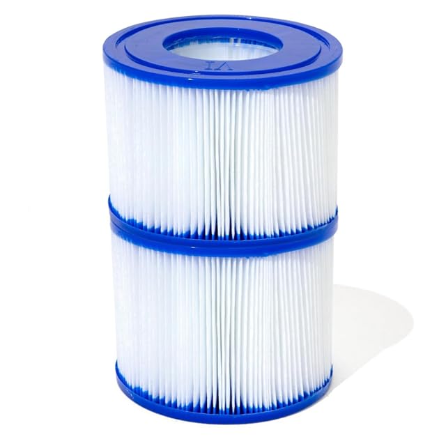 Dos cartuchos filtrantes de spa Bestway de tipo VI blancos con estructura de láminas plisadas